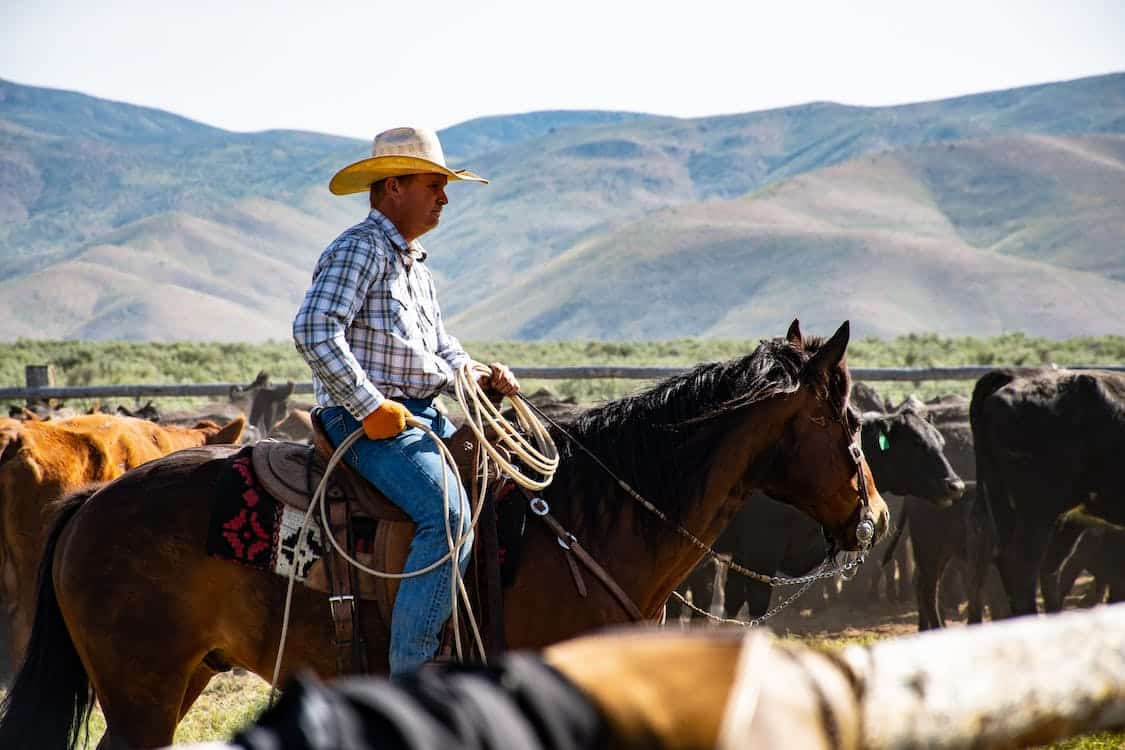 mode cowboy